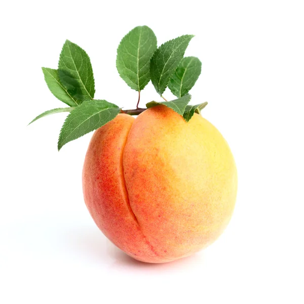 Ripe apricot with leaves — Stock Photo, Image