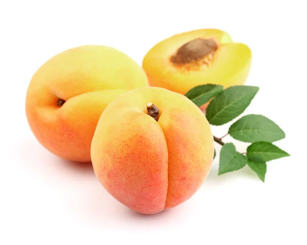 Fresh ripe apricots with leaves — Stock Photo, Image