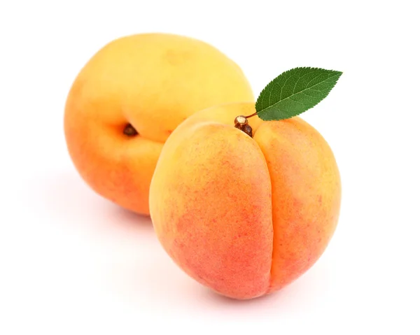 Сладкий абрикос с листом — стоковое фото