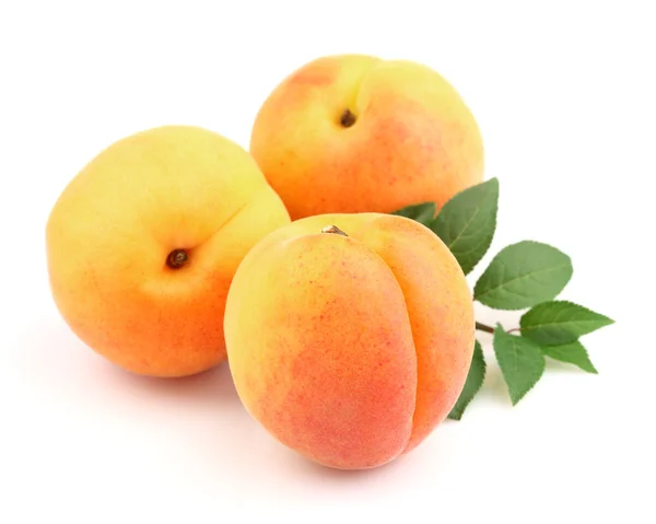 Mogen söt aprikoser med blad — Stockfoto
