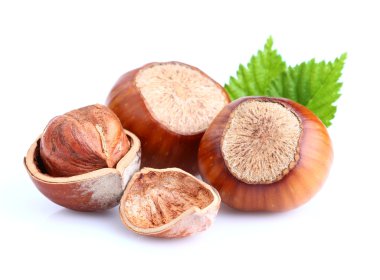 Hazelnuts with leaves clipart