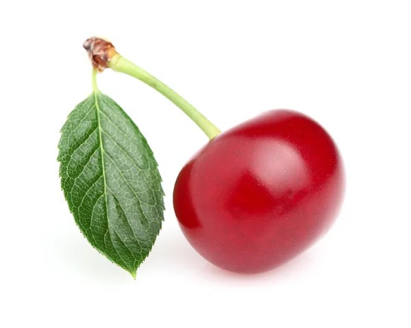 Cherry v detailním — Stock fotografie