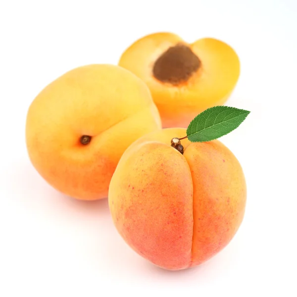 Ripe apricots with leaf — Stock Photo, Image