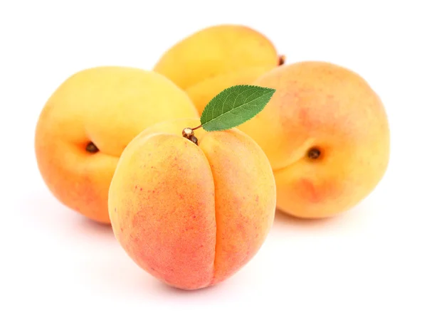 Sweet apricots — Stock Photo, Image