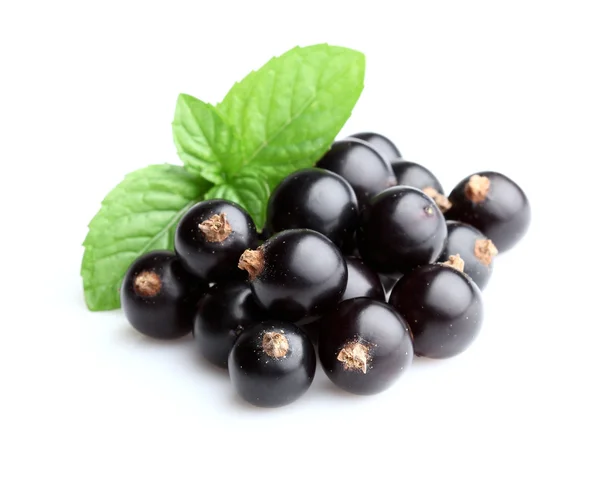 Blackcurrant with mint — Stock Photo, Image