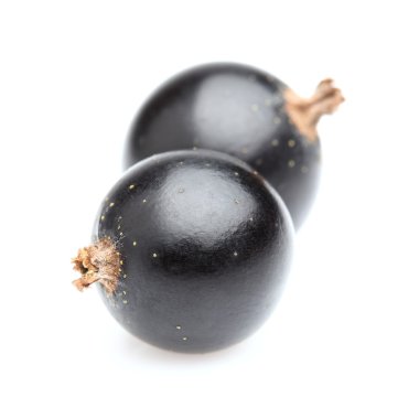 Blackcurrant closeup içinde