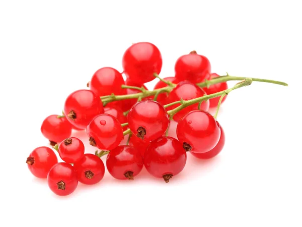 Red currant in closeup — Stock Photo, Image
