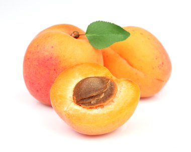 Apricots with leaf clipart