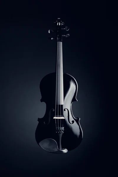 Elegant svart violin — Stockfoto