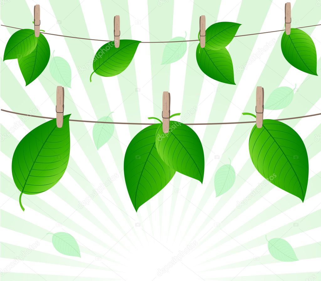 Vector illustration of the leaves on rope on sunny background