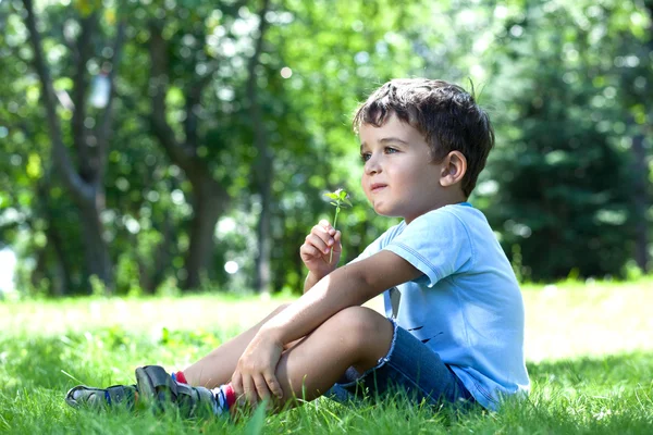 Симпатичный мальчик с полевыми цветами сидит на зеленой траве в парке — стоковое фото