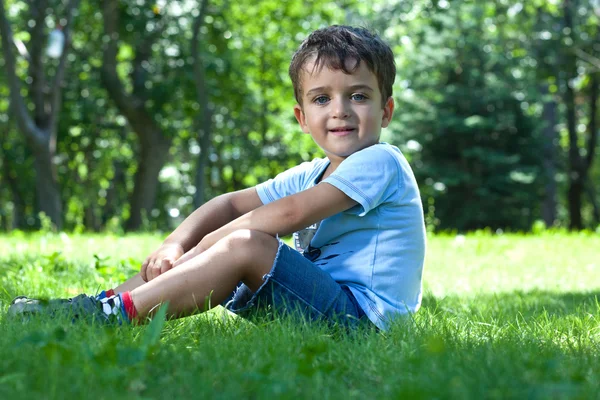 可爱的小男孩坐在草地上的肖像 图库图片