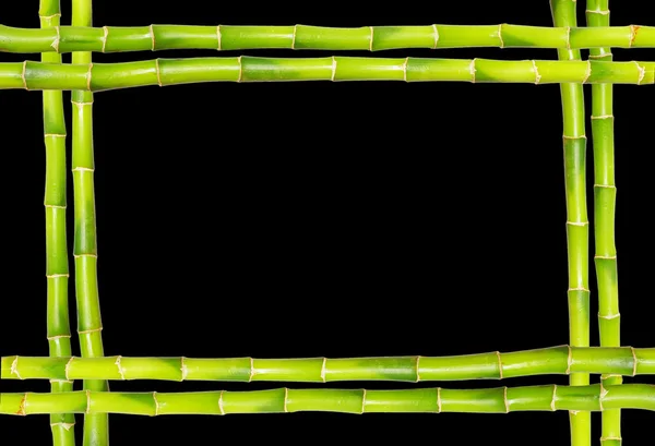 Bambusový rám — Stock fotografie