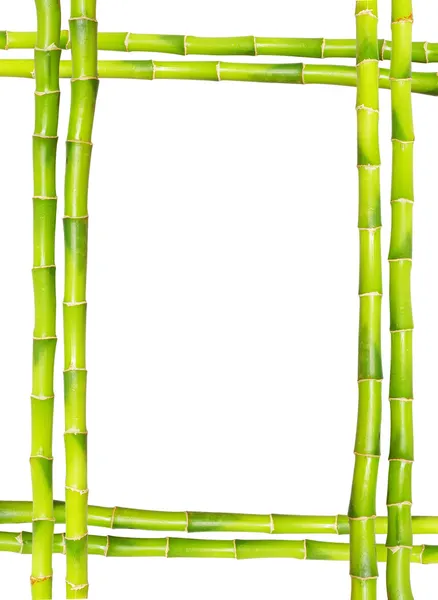 Bambus ramki — Zdjęcie stockowe