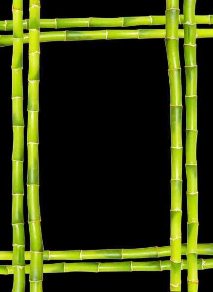 Telaio di bambù — Foto Stock