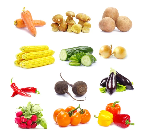 Gyűjtemény zöldségek — Stock Fotó