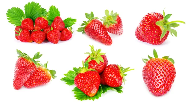 Set de fresas — Foto de Stock