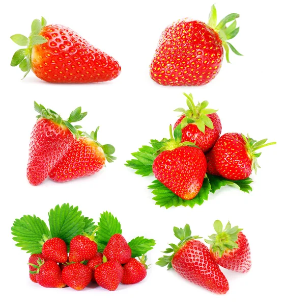 Strawberry set — Stockfoto