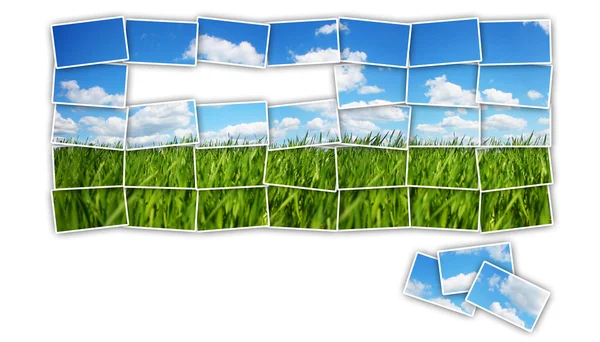 Puzzle de campo verde —  Fotos de Stock
