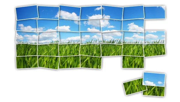 Puzzle "grünes Feld" — Stockfoto