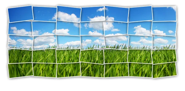 stock image Green field puzzle