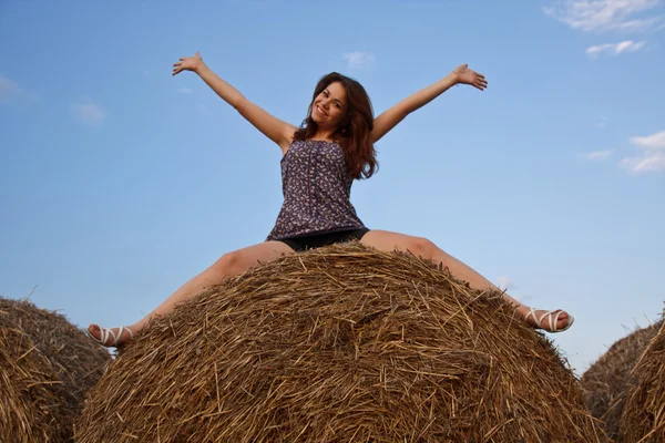 Portrait of a beautiful girl on hay — Stock Photo, Image