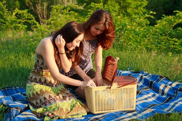 Dos hermosas chicas en un picnic — Foto de Stock