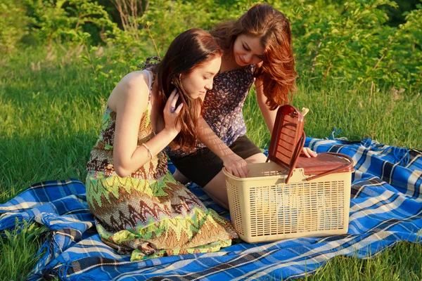 Two beautiful girls at a picnic — Stock Photo, Image