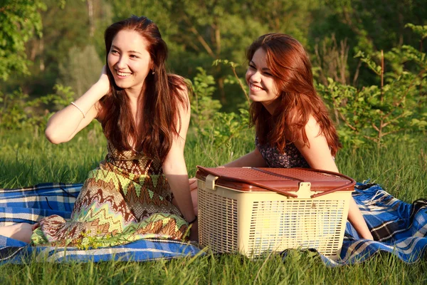 两个美丽的女孩，在一次野餐 — 图库照片