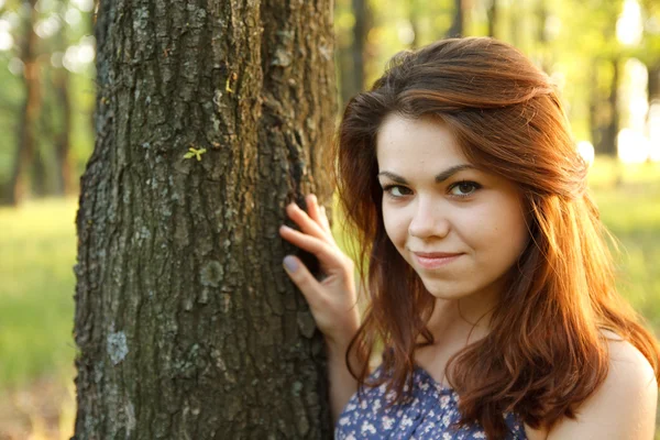 Porträt einer jungen Frau, die einen großen Baum in einem Park umarmt Stockbild