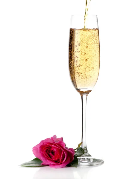 stock image Rose and champagne wine isolated on white