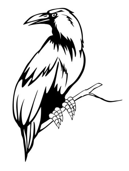黑乌鸦 — 图库矢量图片