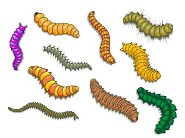 Cartoon worms clipart