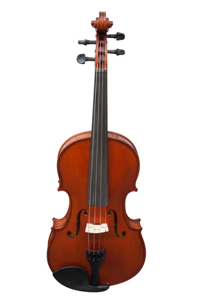Geigen — Stockfoto