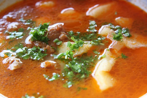 Stock image Ukrainian and russian national red soup-borsch