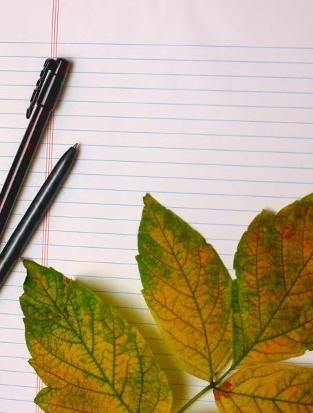 Background with autumn leaves and pen in a notebook — Stock Photo, Image