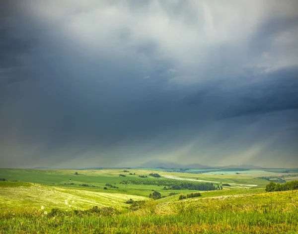stock image Landscape with the field