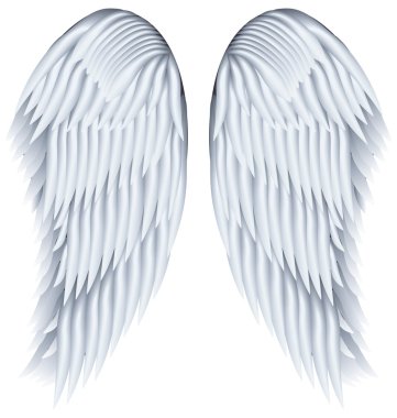 Wings. clipart