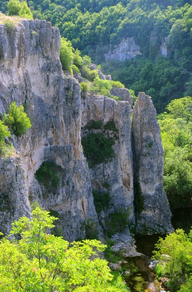 岩石和植被的百万美元峡谷 — 图库照片