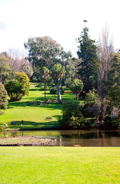 stock image Melbourne Botanical Gardens