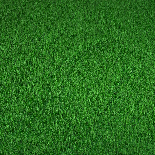 stock image Green grass background