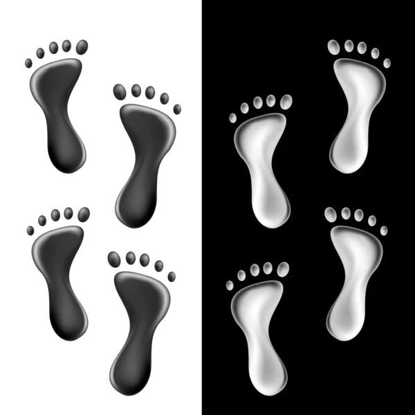 stock vector Vector footsteps