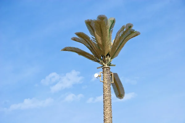 African Palm trees at bright summer day — Stock Photo, Image