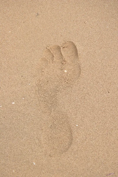 Fußabdruck im Sand am Meeresstrand — Stockfoto