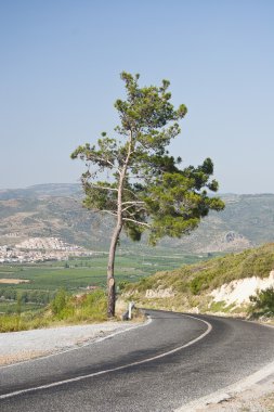 dağ yolu ile tehlikeli eğriler