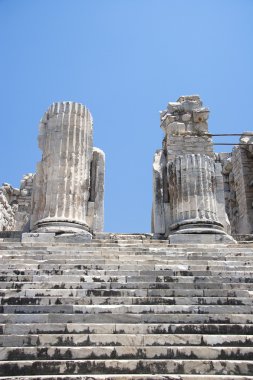 Apollon Tapınağı