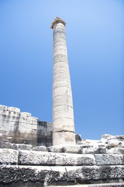 Apollon Tapınağı