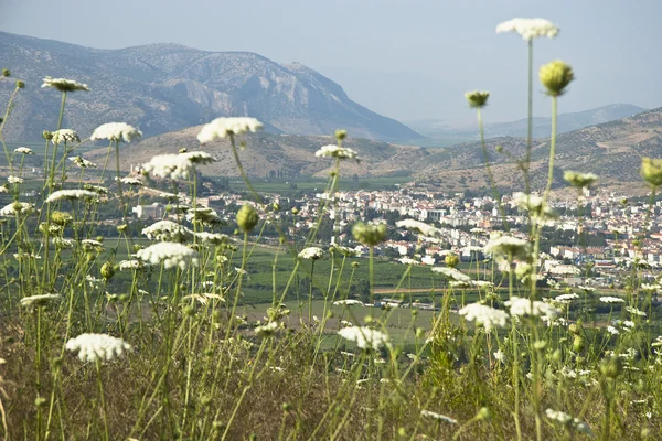 Landschaft Blick auf das Tal — Stockfoto