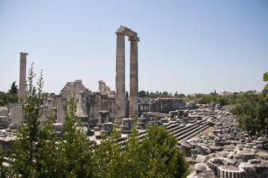 Apollon Tapınağı