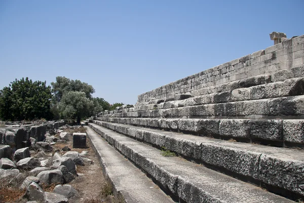 Храм Аполлона — стокове фото